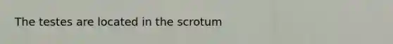 The testes are located in the scrotum