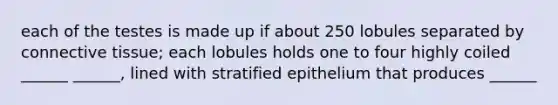 each of the testes is made up if about 250 lobules separated by <a href='https://www.questionai.com/knowledge/kYDr0DHyc8-connective-tissue' class='anchor-knowledge'>connective tissue</a>; each lobules holds one to four highly coiled ______ ______, lined with stratified epithelium that produces ______