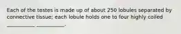 Each of the testes is made up of about 250 lobules separated by connective tissue; each lobule holds one to four highly coiled ___________ ___________.