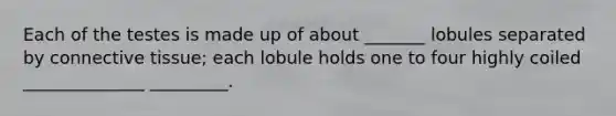 Each of the testes is made up of about _______ lobules separated by connective tissue; each lobule holds one to four highly coiled ______________ _________.