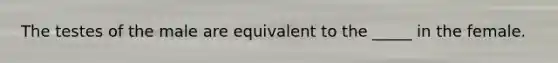 The testes of the male are equivalent to the​ _____ in the female.
