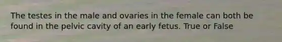 The testes in the male and ovaries in the female can both be found in the pelvic cavity of an early fetus. True or False