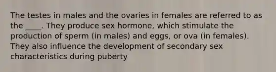 The testes in males and the ovaries in females are referred to as the ____. They produce sex hormone, which stimulate the production of sperm (in males) and eggs, or ova (in females). They also influence the development of secondary sex characteristics during puberty