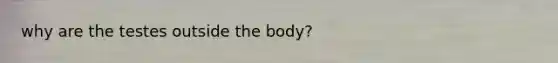 why are the testes outside the body?