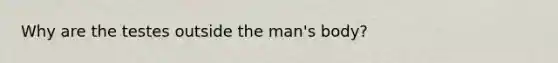 Why are the testes outside the man's body?