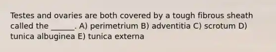 Testes and ovaries are both covered by a tough fibrous sheath called the ______. A) perimetrium B) adventitia C) scrotum D) tunica albuginea E) tunica externa