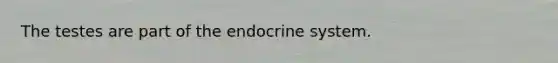 The testes are part of the <a href='https://www.questionai.com/knowledge/k97r8ZsIZg-endocrine-system' class='anchor-knowledge'>endocrine system</a>.