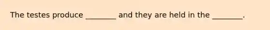 The testes produce ________ and they are held in the ________.