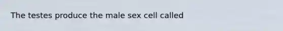 The testes produce the male sex cell called