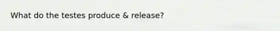 What do the testes produce & release?