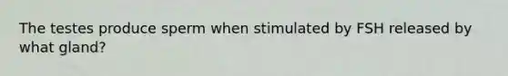 The testes produce sperm when stimulated by FSH released by what gland?