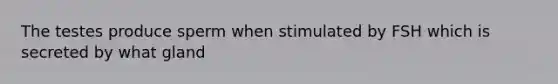 The testes produce sperm when stimulated by FSH which is secreted by what gland