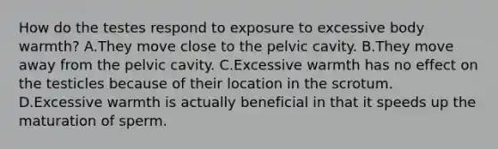 How do the testes respond to exposure to excessive body warmth? A.They move close to the pelvic cavity. B.They move away from the pelvic cavity. C.Excessive warmth has no effect on the testicles because of their location in the scrotum. D.Excessive warmth is actually beneficial in that it speeds up the maturation of sperm.