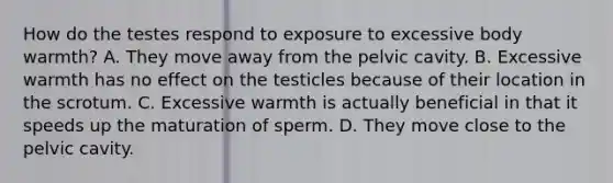 How do the testes respond to exposure to excessive body warmth? A. They move away from the pelvic cavity. B. Excessive warmth has no effect on the testicles because of their location in the scrotum. C. Excessive warmth is actually beneficial in that it speeds up the maturation of sperm. D. They move close to the pelvic cavity.