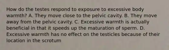 How do the testes respond to exposure to excessive body warmth? A. They move close to the pelvic cavity. B. They move away from the pelvic cavity. C. Excessive warmth is actually beneficial in that it speeds up the maturation of sperm. D. Excessive warmth has no effect on the testicles because of their location in the scrotum