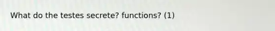 What do the testes secrete? functions? (1)