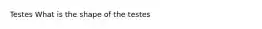 Testes What is the shape of the testes