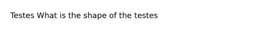 Testes What is the shape of the testes