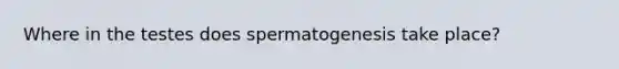 Where in the testes does spermatogenesis take place?