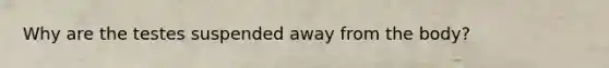 Why are the testes suspended away from the body?