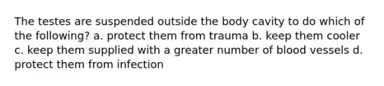 The testes are suspended outside the body cavity to do which of the following? a. protect them from trauma b. keep them cooler c. keep them supplied with a greater number of blood vessels d. protect them from infection
