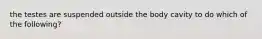 the testes are suspended outside the body cavity to do which of the following?