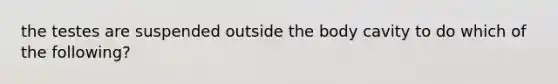 the testes are suspended outside the body cavity to do which of the following?