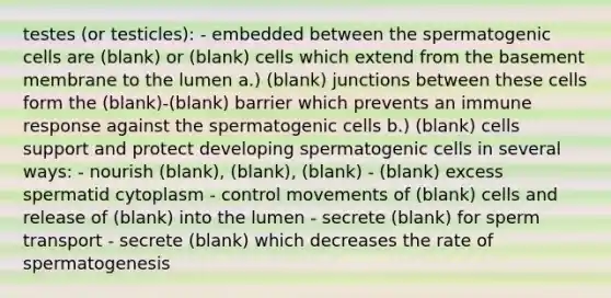 testes (or testicles): - embedded between the spermatogenic cells are (blank) or (blank) cells which extend from the basement membrane to the lumen a.) (blank) junctions between these cells form the (blank)-(blank) barrier which prevents an immune response against the spermatogenic cells b.) (blank) cells support and protect developing spermatogenic cells in several ways: - nourish (blank), (blank), (blank) - (blank) excess spermatid cytoplasm - control movements of (blank) cells and release of (blank) into the lumen - secrete (blank) for sperm transport - secrete (blank) which decreases the rate of spermatogenesis