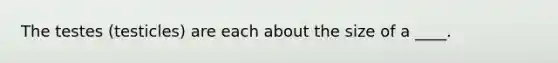 The testes (testicles) are each about the size of a ____.