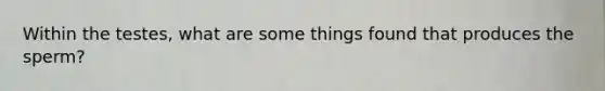 Within the testes, what are some things found that produces the sperm?