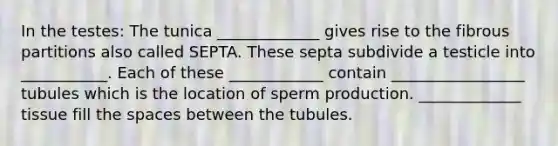 In the testes: The tunica _____________ gives rise to the fibrous partitions also called SEPTA. These septa subdivide a testicle into ___________. Each of these ____________ contain _________________ tubules which is the location of sperm production. _____________ tissue fill the spaces between the tubules.