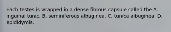 Each testes is wrapped in a dense fibrous capsule called the A. inguinal tunic. B. seminiferous albuginea. C. tunica albuginea. D. epididymis.