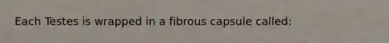 Each Testes is wrapped in a fibrous capsule called: