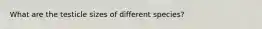 What are the testicle sizes of different species?