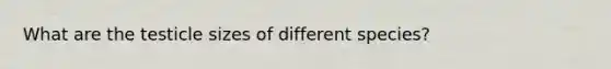 What are the testicle sizes of different species?