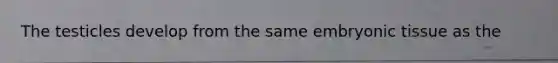 The testicles develop from the same embryonic tissue as the