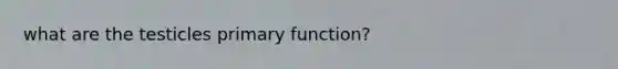 what are the testicles primary function?