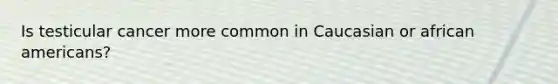 Is testicular cancer more common in Caucasian or african americans?