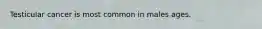 Testicular cancer is most common in males ages.