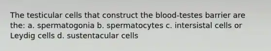 The testicular cells that construct <a href='https://www.questionai.com/knowledge/k7oXMfj7lk-the-blood' class='anchor-knowledge'>the blood</a>-testes barrier are the: a. spermatogonia b. spermatocytes c. intersistal cells or Leydig cells d. sustentacular cells