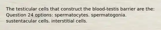 The testicular cells that construct the blood-testis barrier are the: Question 24 options: spermatocytes. spermatogonia. sustentacular cells. interstitial cells.