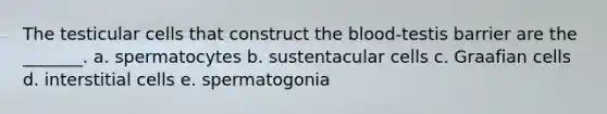 The testicular cells that construct the blood-testis barrier are the _______. a. spermatocytes b. sustentacular cells c. Graafian cells d. interstitial cells e. spermatogonia