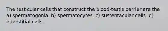 The testicular cells that construct the blood-testis barrier are the a) spermatogonia. b) spermatocytes. c) sustentacular cells. d) interstitial cells.