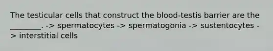 The testicular cells that construct <a href='https://www.questionai.com/knowledge/k7oXMfj7lk-the-blood' class='anchor-knowledge'>the blood</a>-testis barrier are the ________. -> spermatocytes -> spermatogonia -> sustentocytes -> interstitial cells