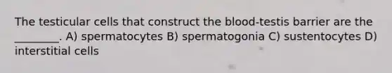 The testicular cells that construct the blood-testis barrier are the ________. A) spermatocytes B) spermatogonia C) sustentocytes D) interstitial cells