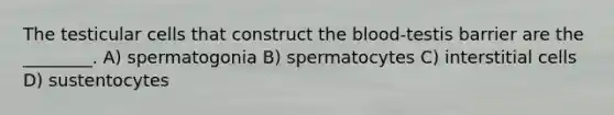 The testicular cells that construct the blood-testis barrier are the ________. A) spermatogonia B) spermatocytes C) interstitial cells D) sustentocytes