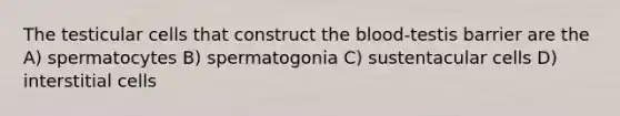 The testicular cells that construct the blood-testis barrier are the A) spermatocytes B) spermatogonia C) sustentacular cells D) interstitial cells