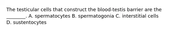 The testicular cells that construct the blood-testis barrier are the ________. A. spermatocytes B. spermatogonia C. interstitial cells D. sustentocytes