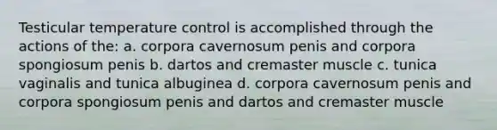 Testicular temperature control is accomplished through the actions of the: a. corpora cavernosum penis and corpora spongiosum penis b. dartos and cremaster muscle c. tunica vaginalis and tunica albuginea d. corpora cavernosum penis and corpora spongiosum penis and dartos and cremaster muscle