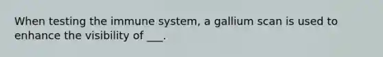 When testing the immune system, a gallium scan is used to enhance the visibility of ___.